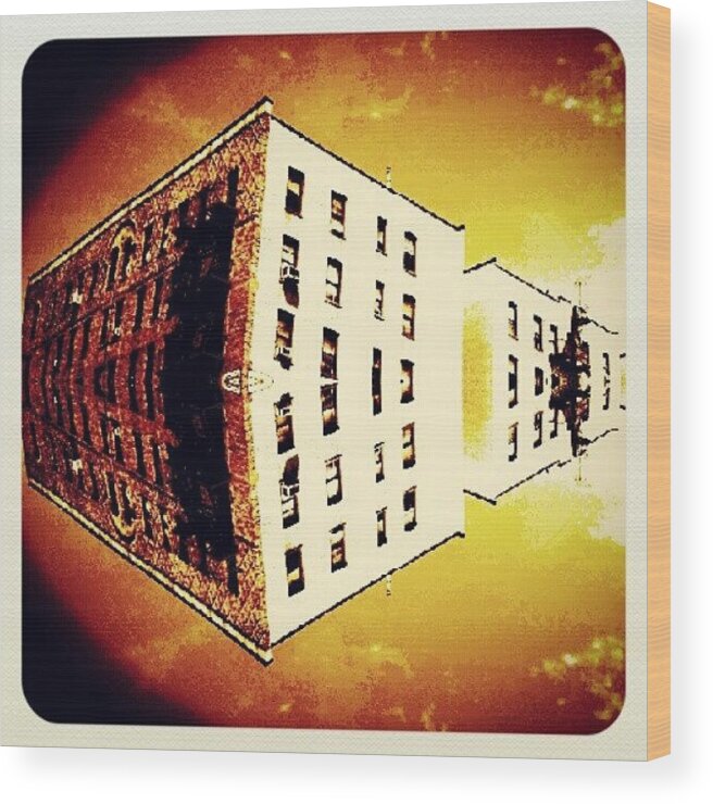  Wood Print featuring the photograph Bronx Surrealism by Radiofreebronx Rox