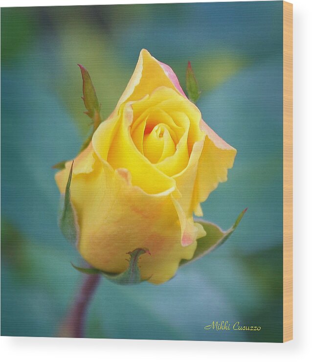 Floral Wood Print featuring the photograph Budding Yellow Rose by Mikki Cucuzzo