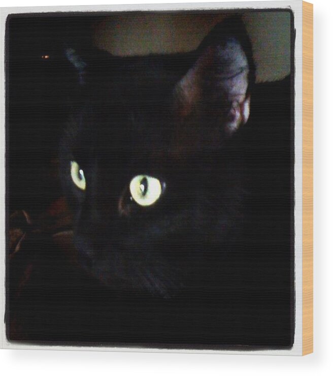 Eyes Wood Print featuring the photograph #cat #blackcat #eyes by Jamie H