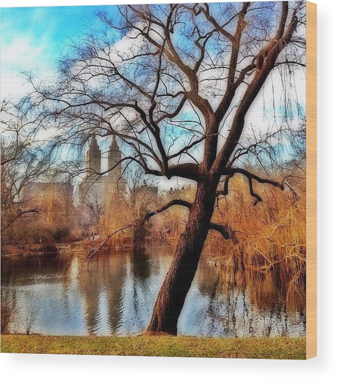 Building Wood Print featuring the photograph #centralpark #park #outdoor #nature #ny by Joel Lopez