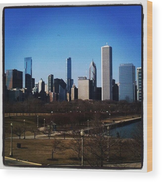  Wood Print featuring the photograph Chicago Skyline by Luis Espinosa 