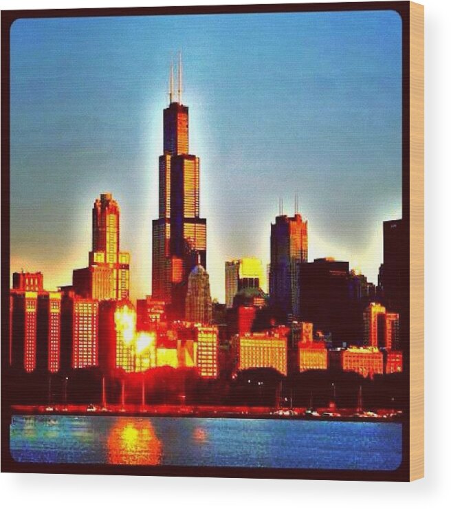 City Wood Print featuring the photograph Chicago Sunrise by David Sabat