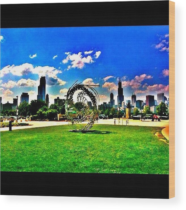 Sculpture Wood Print featuring the photograph Chicago View From Planetarium by David Sabat