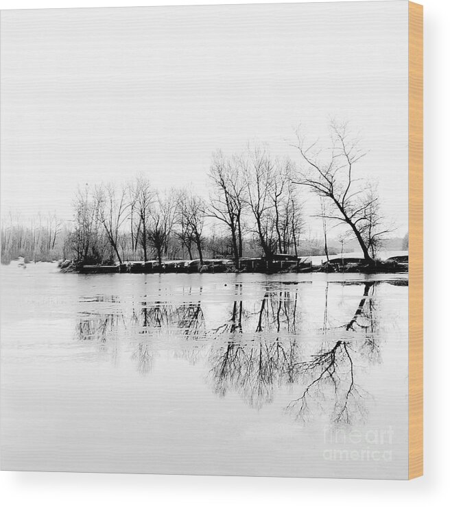 Winter Wood Print featuring the photograph Cold Silence by Hannes Cmarits