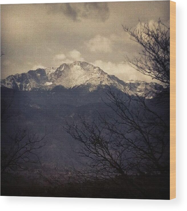 Ig Wood Print featuring the photograph Colo by Amanda Schoonover