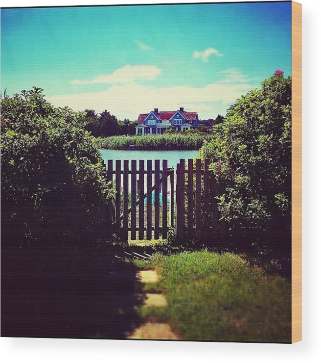 Hamptons Wood Print featuring the photograph @courtneywittich Let's Go For A Boat by Evan Kelman