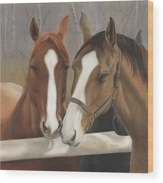 Horses Showing Affection Over The Fence Wood Print featuring the painting Courtship by Tammy Taylor