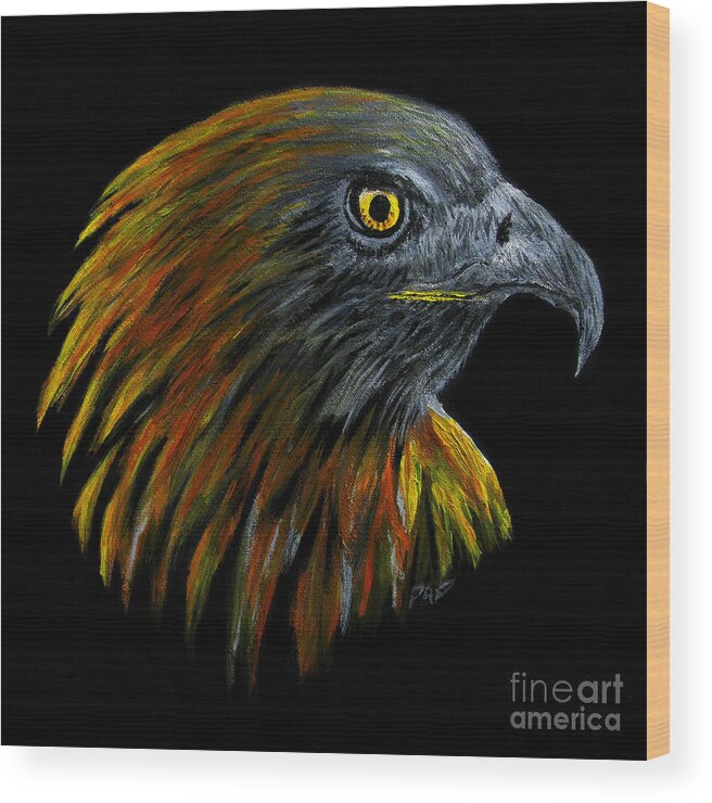Bird Of Pray Wood Print featuring the painting Crowhawk by Peter Piatt