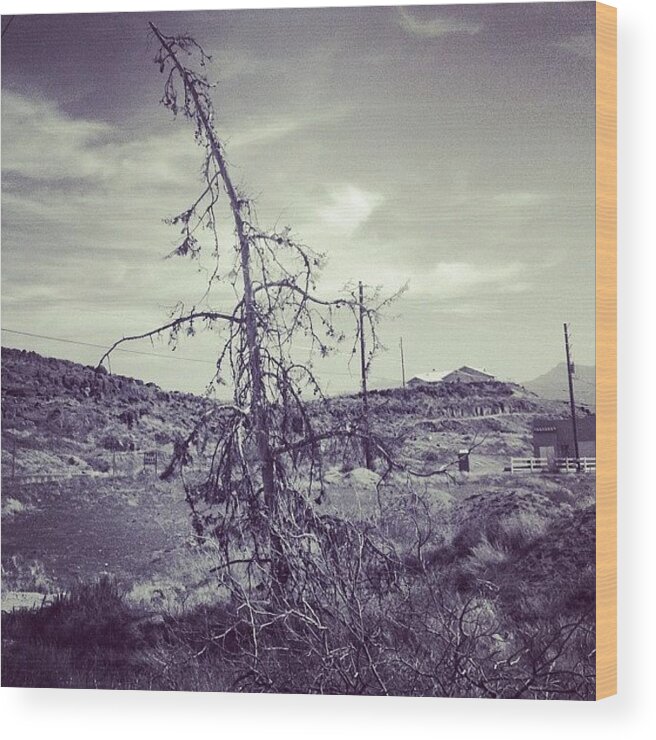 Tree Wood Print featuring the photograph #desert #tree #sky #blackandwhite by Jennifer OHarra