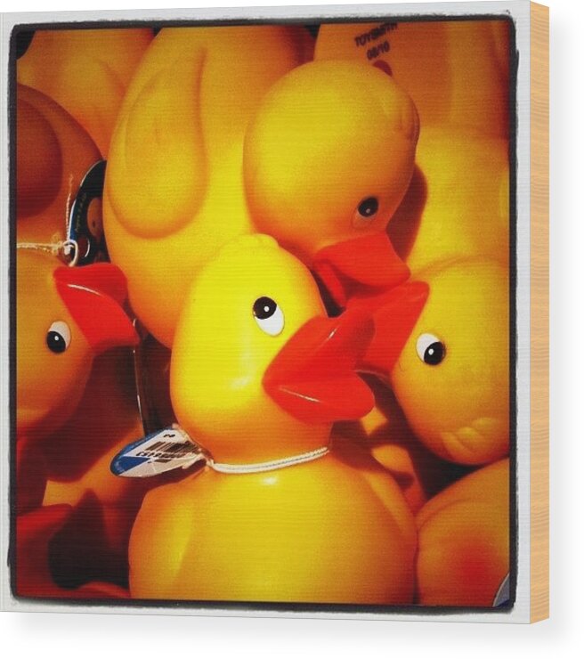 Duck Wood Print featuring the photograph Feelin Just Ducky by Jaye Howard