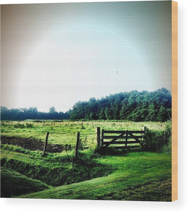 Fence Wood Print featuring the photograph Fenced In by Chrit Werdmolder Smeets