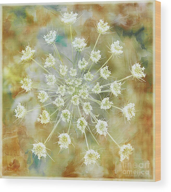 Flower Wood Print featuring the photograph Floral Fireworks by Diane Enright