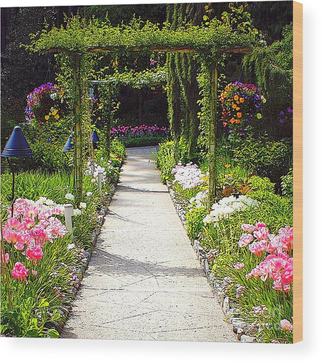 Garden Wood Print featuring the photograph Flower Garden - Digital Painting by Carol Groenen