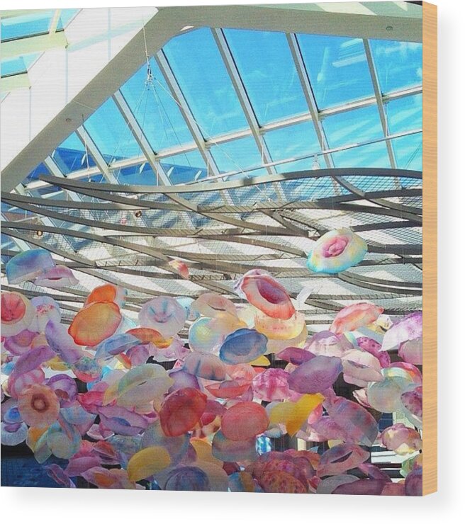 Color Wood Print featuring the photograph Flying Like A Lead Balloon by Amy DiPasquale