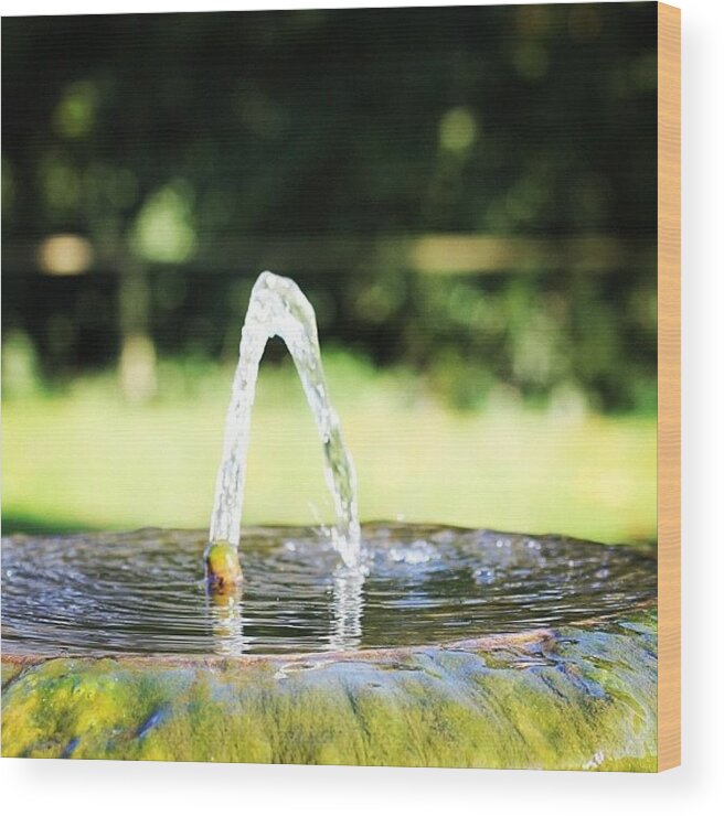  Wood Print featuring the photograph Fountain Green by Unique Louise