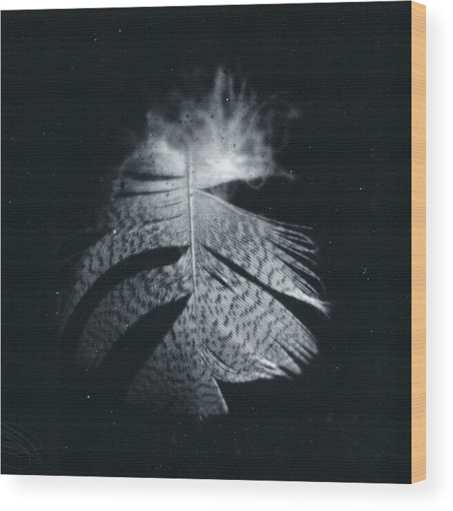 Polaroidback Wood Print featuring the photograph #fujiroid #polaroid #polaroidback by Andy Kleinmoedig