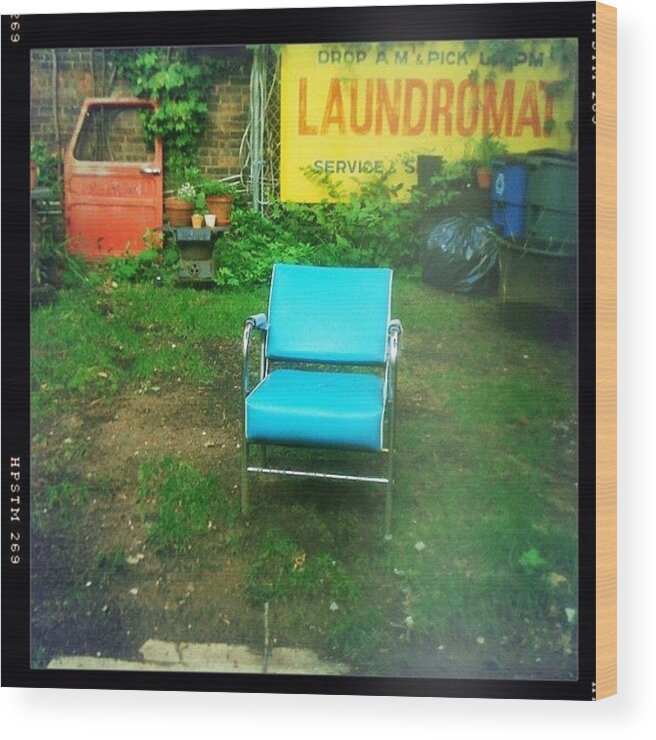  Wood Print featuring the photograph Garden At Launchpad, Crown Heights by Bonnie Natko