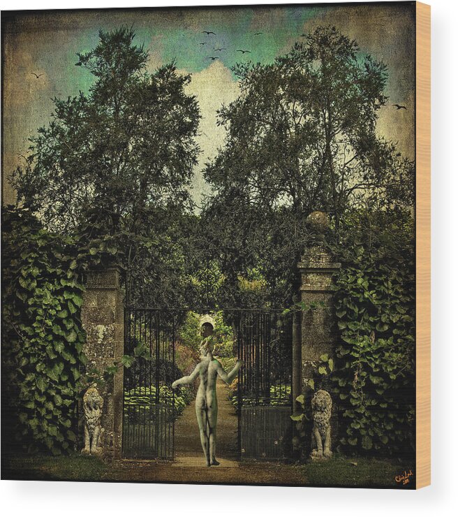 Garden Wood Print featuring the photograph Hope Arrives At The Garden Gate by Chris Lord