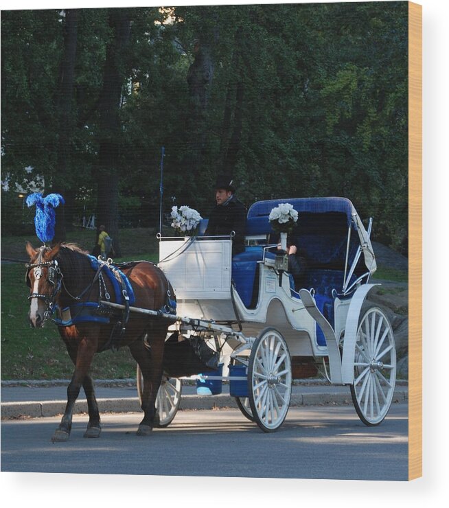 Central Park Wood Print featuring the photograph Horse With A Fascinator by Eric Tressler