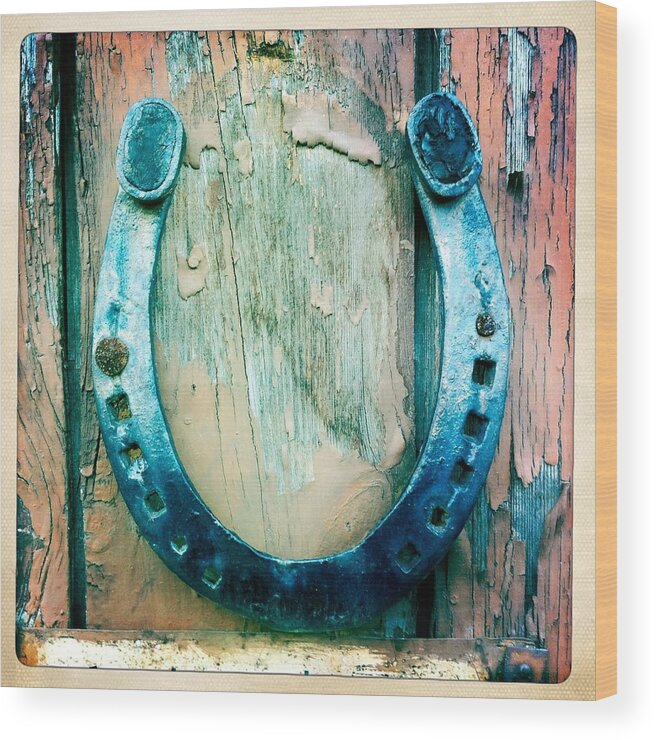 Horse Shoe Wood Print featuring the photograph Horseshoe by Matthias Hauser