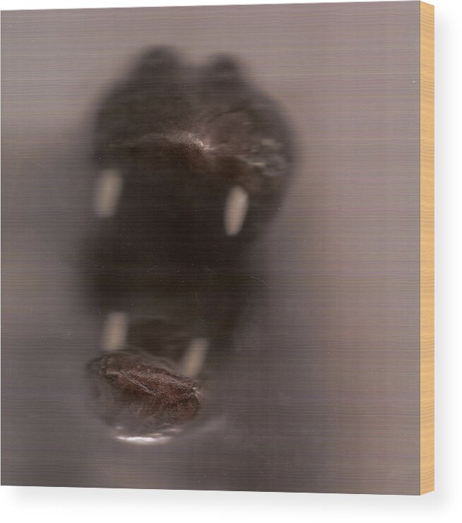 Brown Wood Print featuring the photograph Hungry Hippo by Brian Kirchner