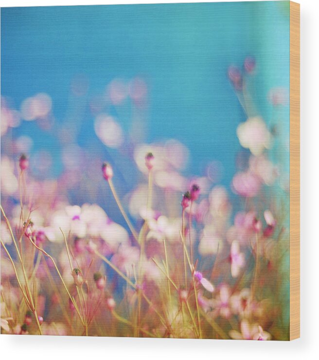 Impressionistic Floral Print Wood Print featuring the photograph Infatuation in Blue II by Amy Tyler