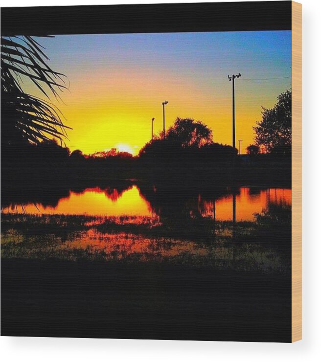 Teamsunset Wood Print featuring the photograph #jj #bright #light #colors #popular by Matt Turner