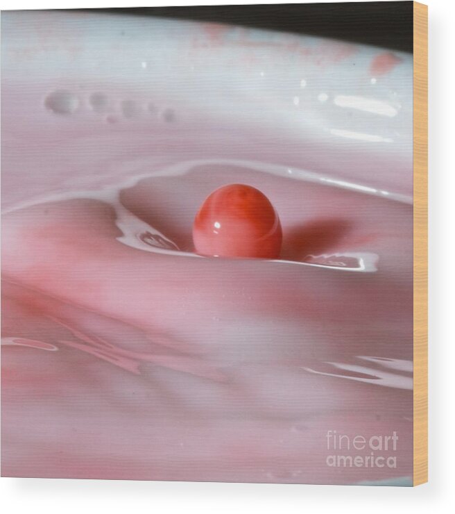 Drop Wood Print featuring the photograph Juice in Milk by Darcy Evans