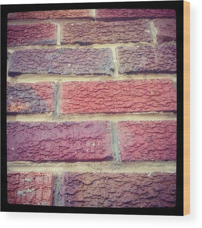  Wood Print featuring the photograph Just Another Brick In The Wall by Robyn Addinall