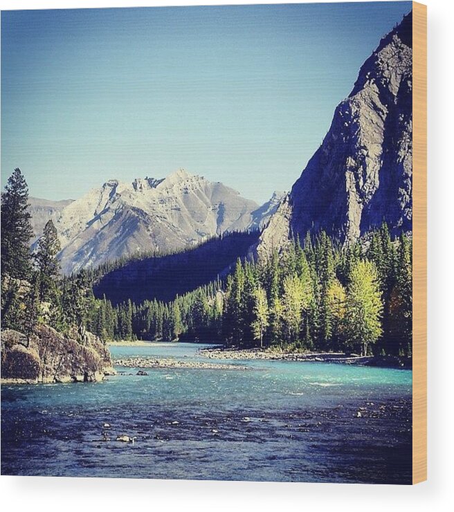Scenery Wood Print featuring the photograph #kickinghorseriver #lakelouise #alberta by Lucy Siciliano