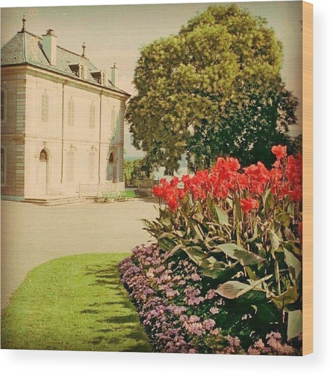Beautiful Wood Print featuring the photograph #latergram #geneva #switzerland #film by Linandara Linandara