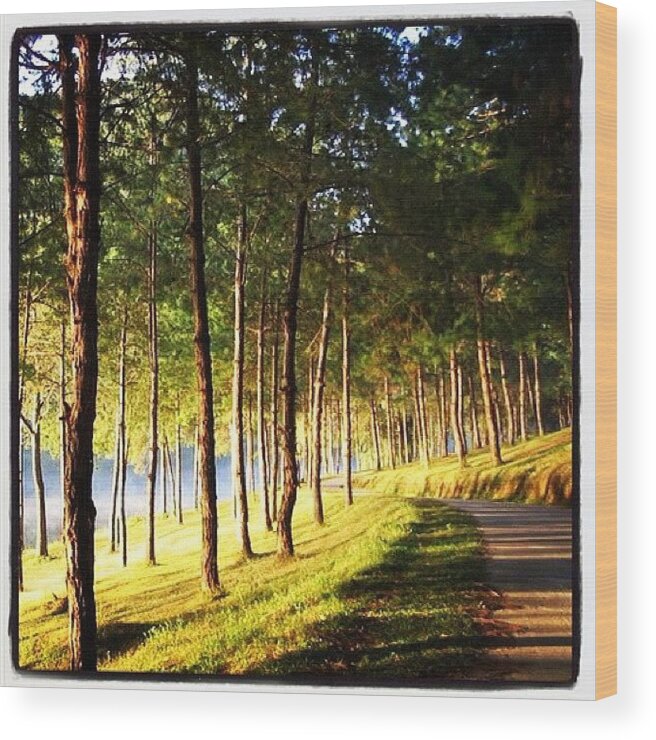 Foto Wood Print featuring the photograph Left Dog Leg #iphonephotoofday by Rocky Boat