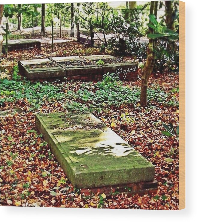 Groningen Wood Print featuring the photograph Long Forgotten Graves In #winsum by Cynthia Post