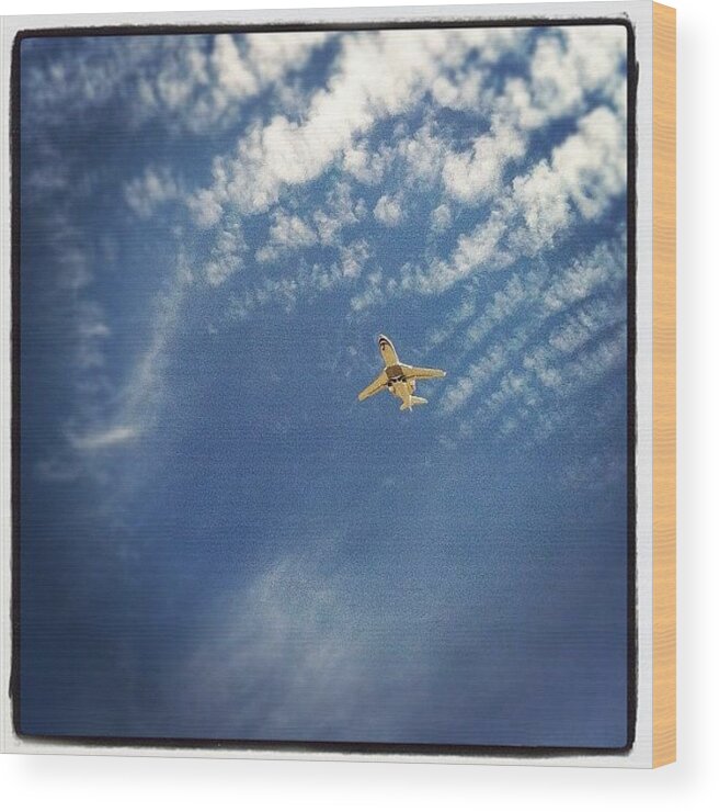 Plane Airplane Fly Flight Blue Sky Clouds Air Jet Private Jet Travel Commute Transportation Gwyn Newcombe Newcsassemblage Wood Print featuring the photograph Luxury Flight by Gwyn Newcombe