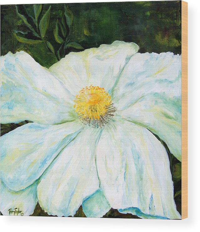 Poppy Wood Print featuring the painting Matilija Poppy by Terry Taylor