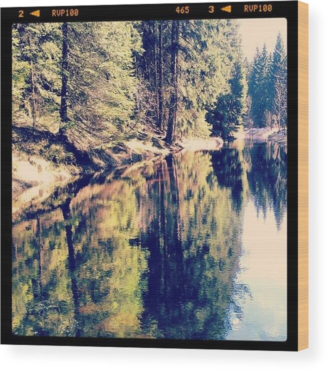 Nature Wood Print featuring the photograph Mirror of Nature by Marian Farkas