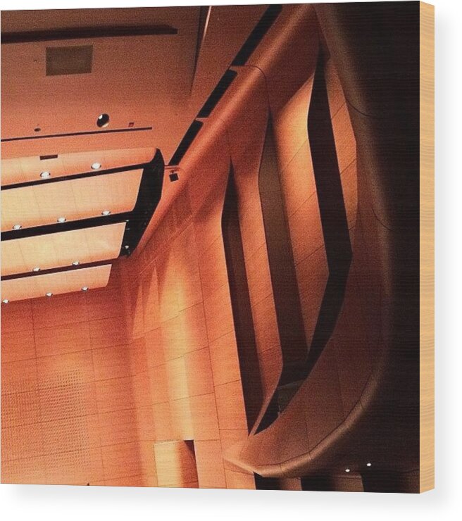 Instaaaaah Wood Print featuring the photograph Modern Architectural Beauty by Natasha Marco