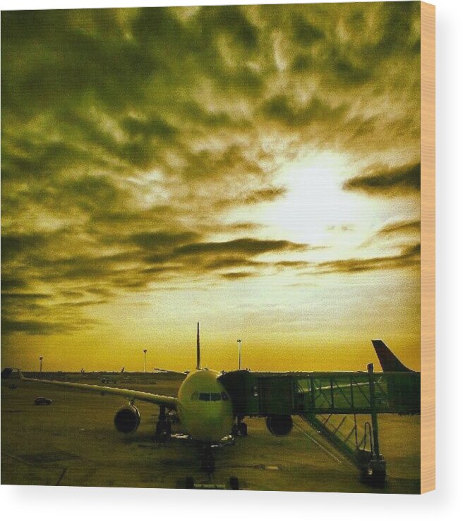 Flight Wood Print featuring the photograph Morning Flight #sunrise #flight by Tommy Tjahjono