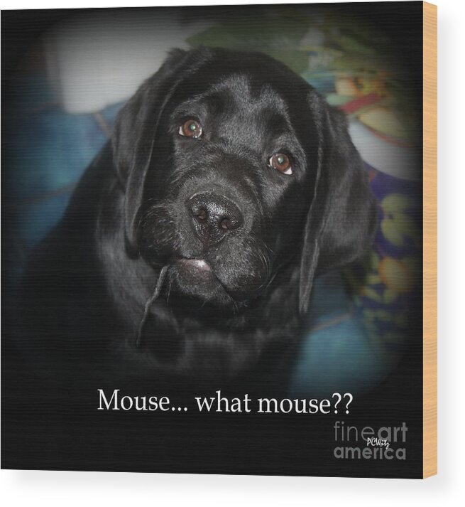 Dog Wood Print featuring the photograph Mouse---What Mouse by Patrick Witz