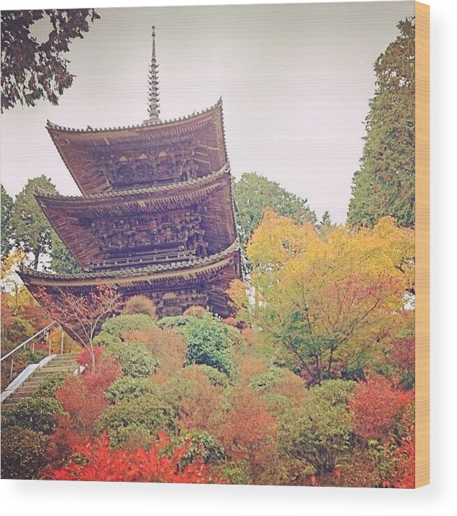 Beautiful Wood Print featuring the photograph 天気ーーー😩
#常楽寺 #寺 by Ayami Nakamura