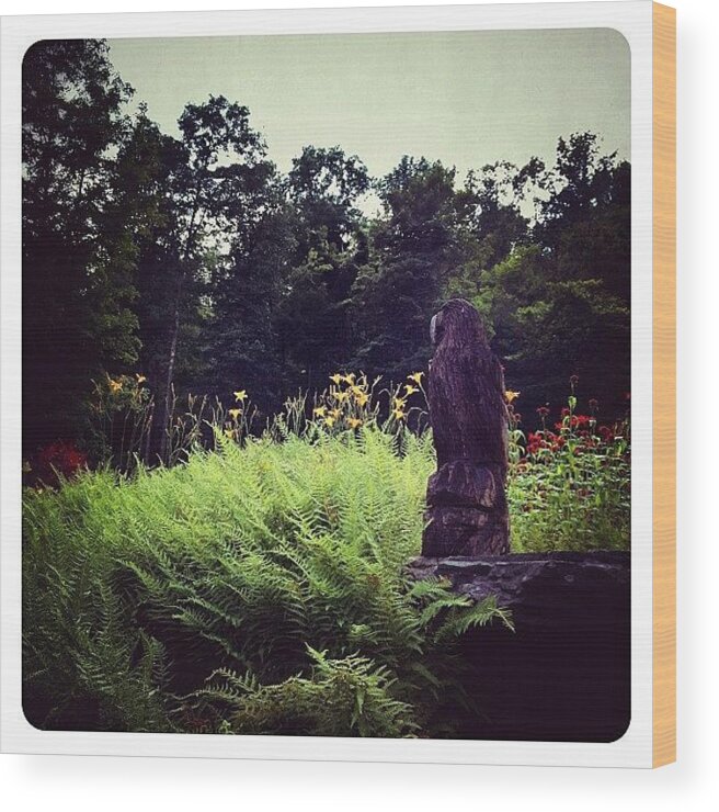 Teamrebel Wood Print featuring the photograph Nature by Natasha Marco