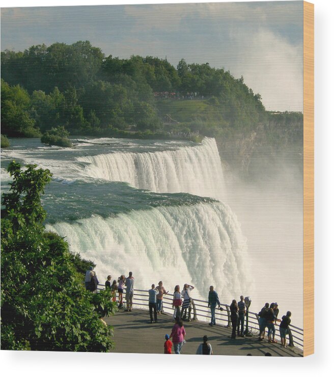 Niagara Falls Wood Print featuring the photograph Niagara Falls State Park by Mark J Seefeldt