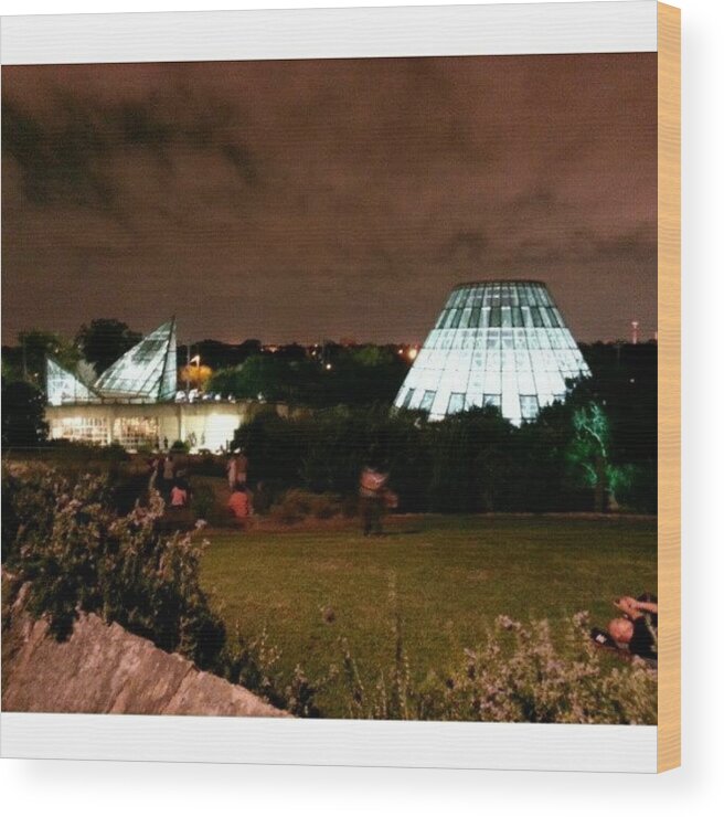 Naturescene Wood Print featuring the photograph Night Shot At The Botanical Garden by Clifford McClure