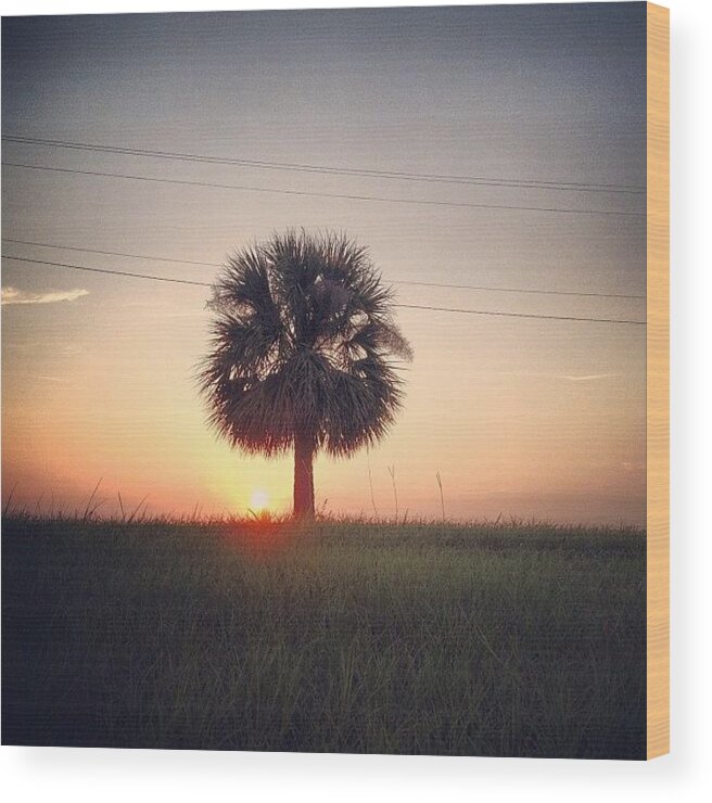 Solo Wood Print featuring the photograph No Christian Is An Island by Escapist's Alley