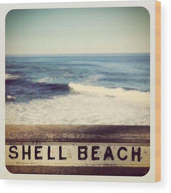  Wood Print featuring the photograph Not To Be Confused With The Other Shell by Kim Hudson