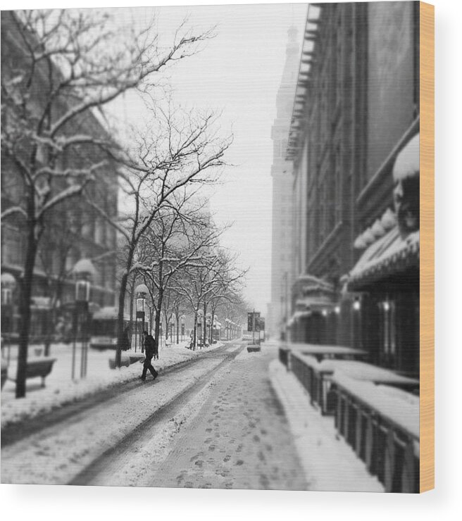 Cowx Wood Print featuring the photograph Not Too Crowded On The Mall Today by Patrick Obando