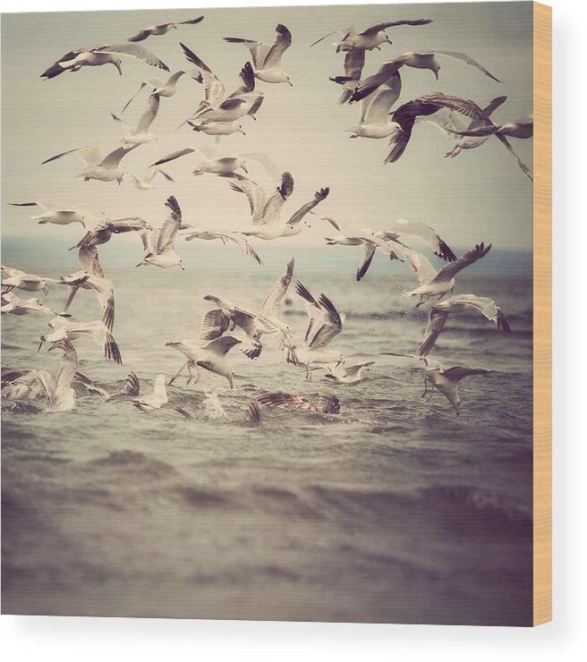 Seagulls Wood Print featuring the photograph On the Fly by Irene Suchocki