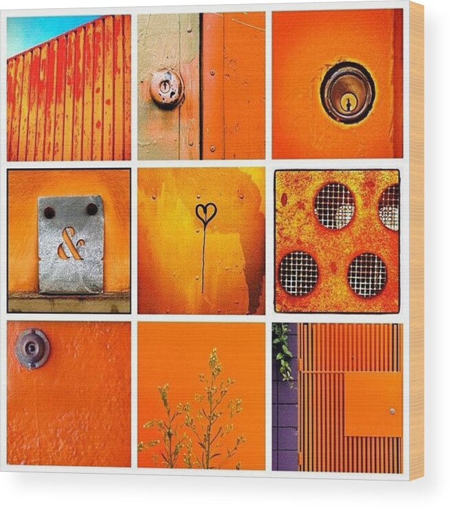 Orangelicious Wood Print featuring the photograph Orange by Julie Gebhardt