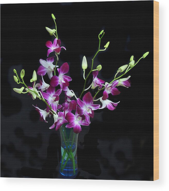 Orchid Wood Print featuring the photograph Orchid Spray. by Terence Davis