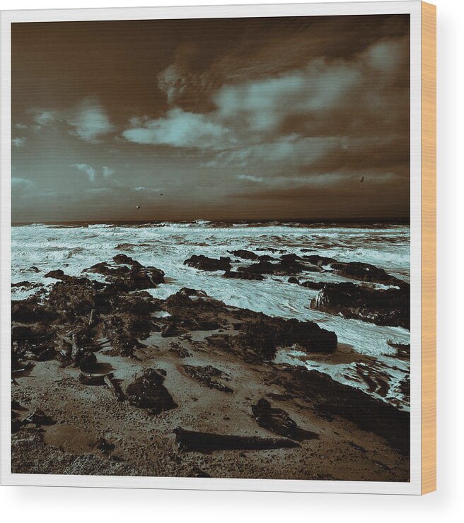 Pacific Ocean Wood Print featuring the photograph Out to Sea by Bonnie Bruno